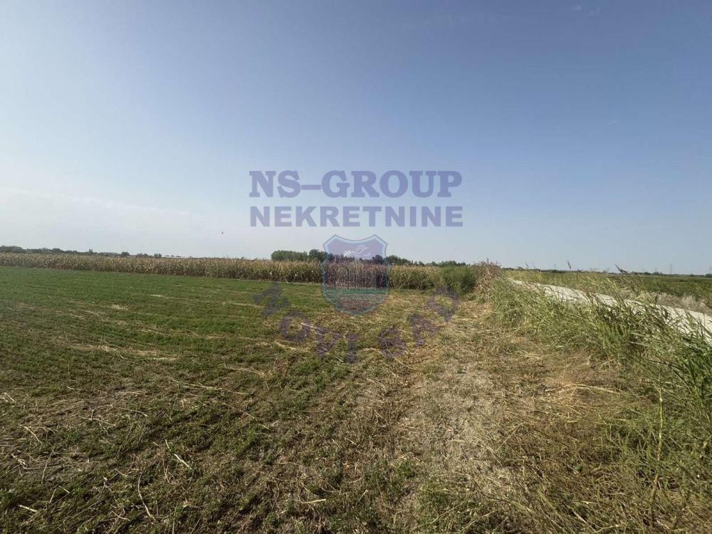 Slika 1 -  Plac na prodaju, Futog, 236.900€