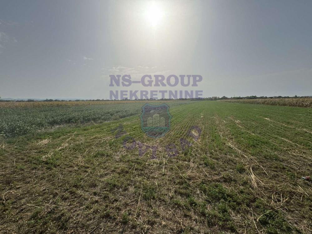 Slika 2 -  Plac na prodaju, Futog, 236.900€