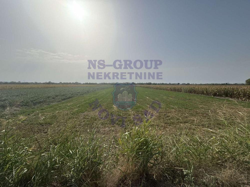 Glavna slika - Plac na prodaju, Futog, 236.900€