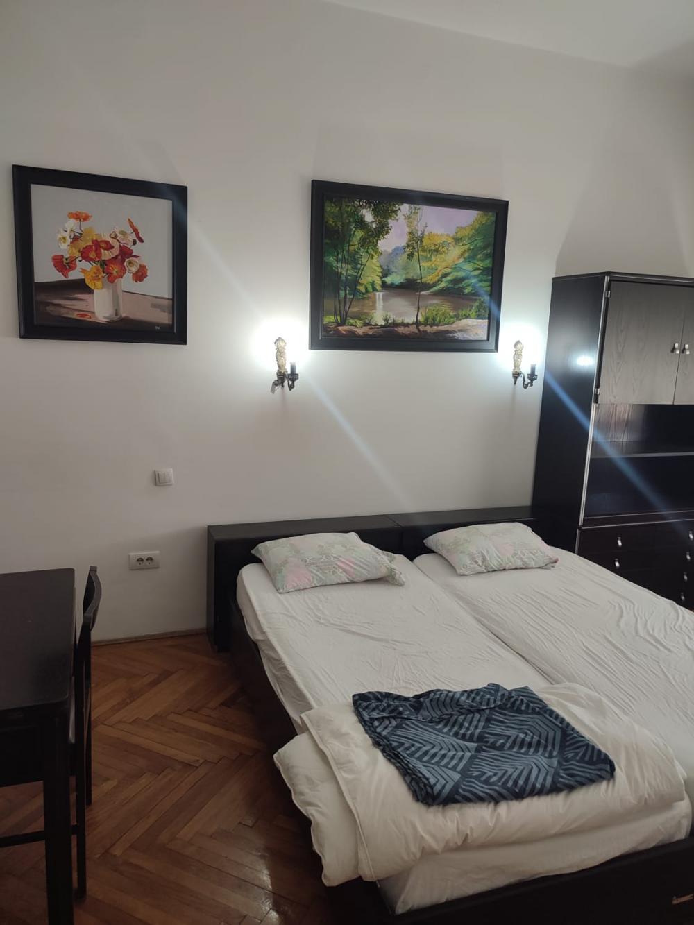 Slika 1 - Birčaninova, Jednosoban stan za izdavanje, 28m2, 550€