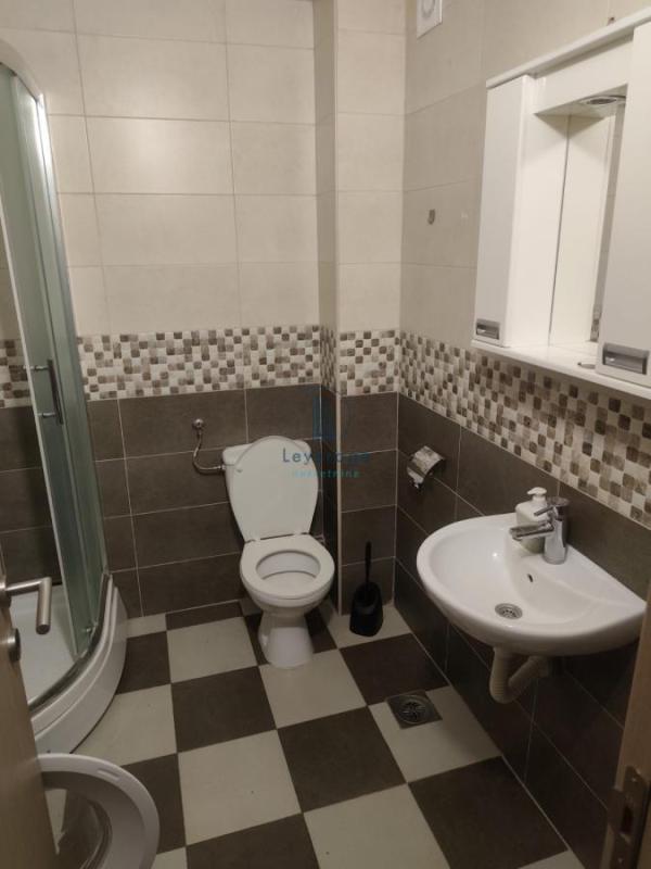 Slika 5 - Radnih akcija, Jednoiposoban stan za izdavanje, 45m2, 500€