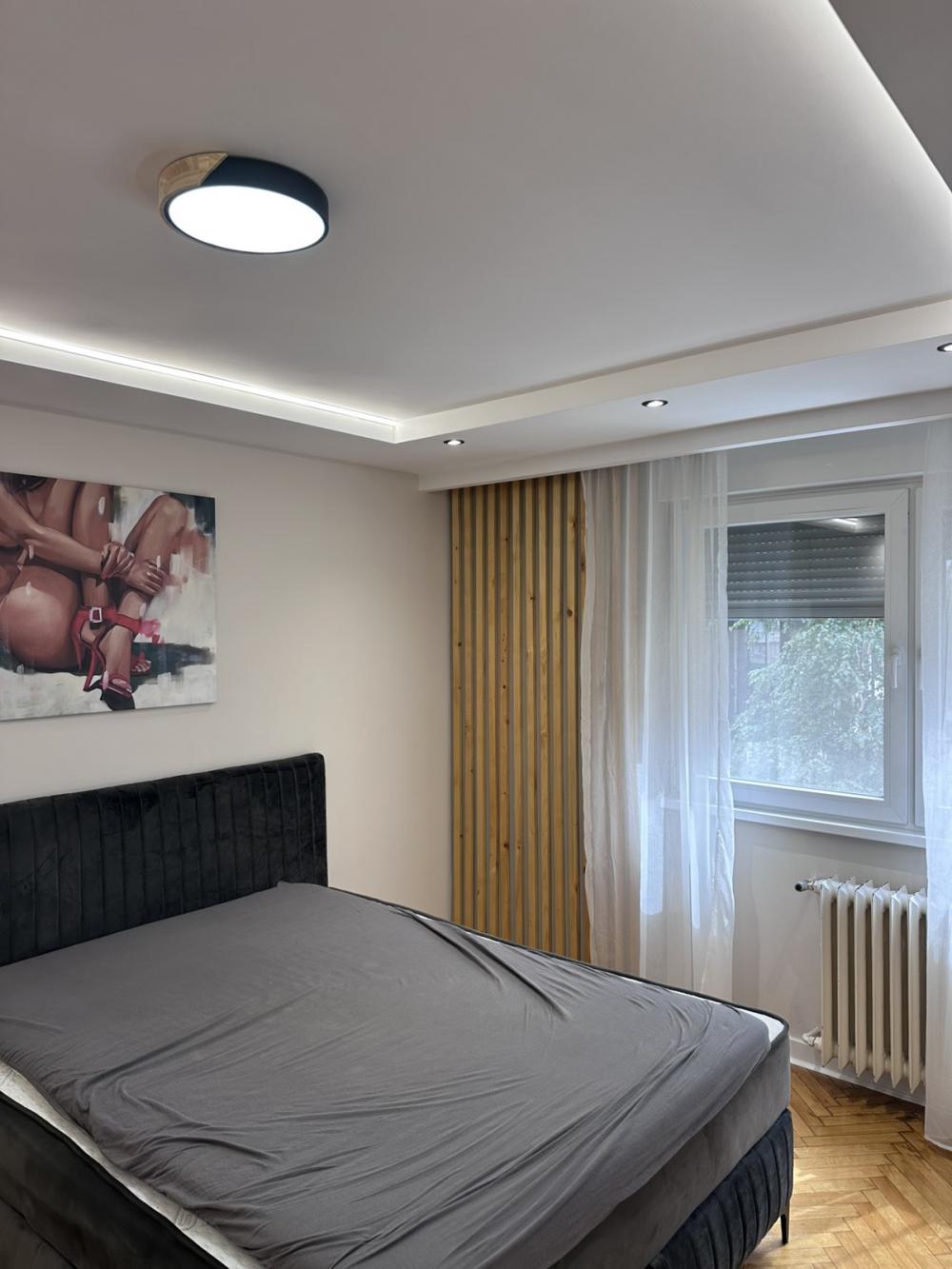 Slika 5 - Vojvode Milenka, Dvosoban stan za izdavanje, 56m2, 900€