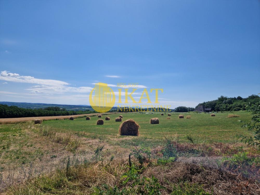Glavna slika -Barička reka Plac na prodaju, Obrenovac, Barič, 16.700€