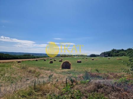 glavna slika oglasa