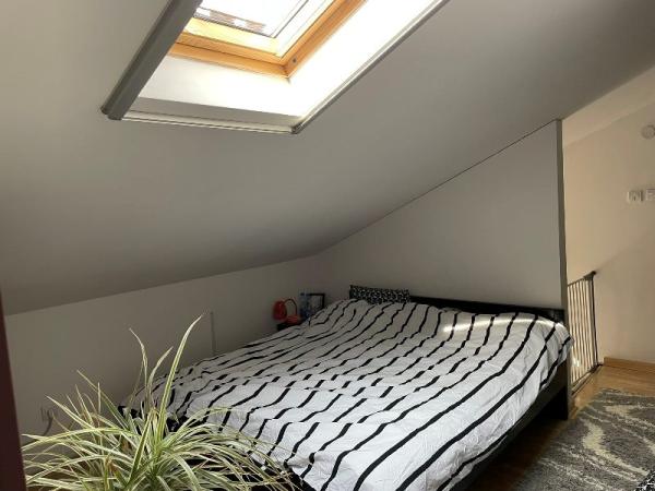 Slika 5 - Cara Dušana, Trosoban stan za izdavanje, 60m2, 600€