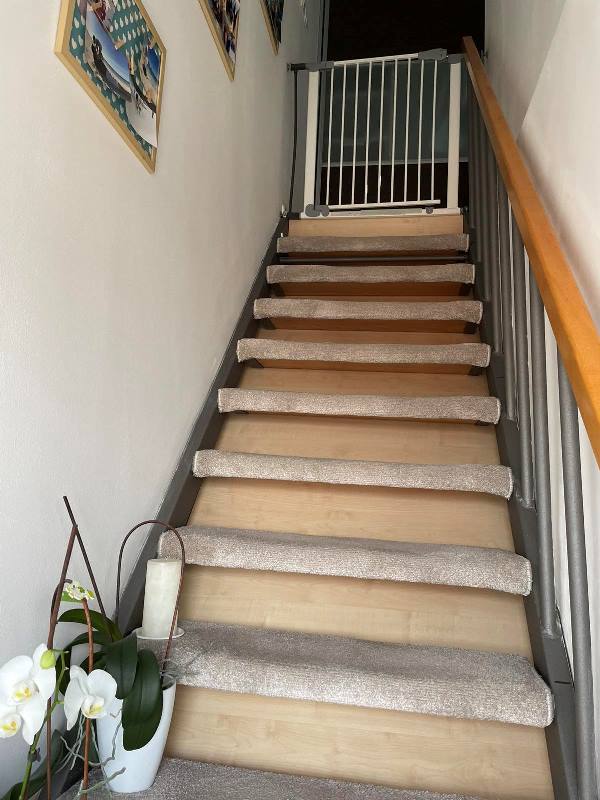 Slika 6 - Cara Dušana, Trosoban stan za izdavanje, 60m2, 600€