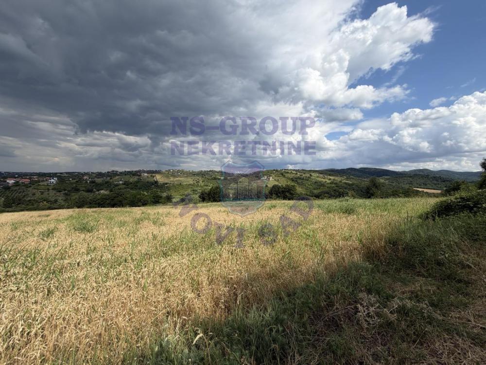 Slika 1 -  Plac na prodaju, Ledinci, 543.350€