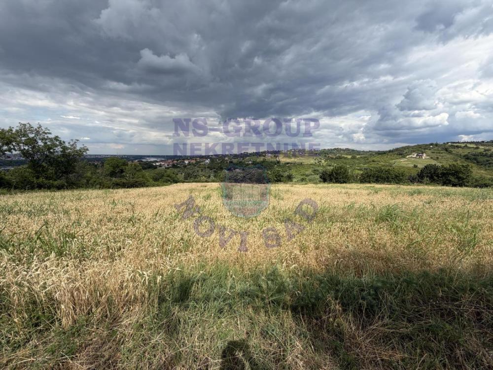 Glavna slika - Plac na prodaju, Ledinci, 543.350€