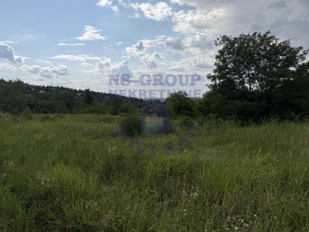 Glavna slika - Plac na prodaju, Ledinci, 204.020€