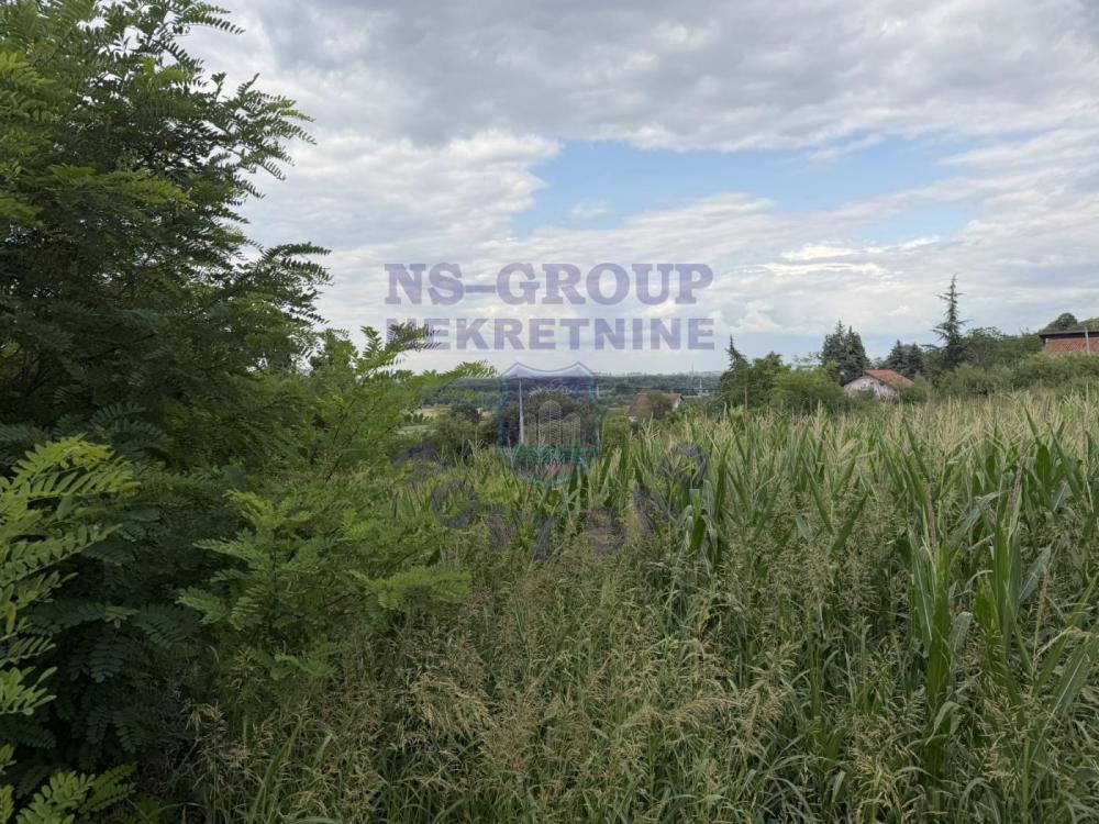 Slika 1 -  Plac na prodaju, Ledinci, 324.660€