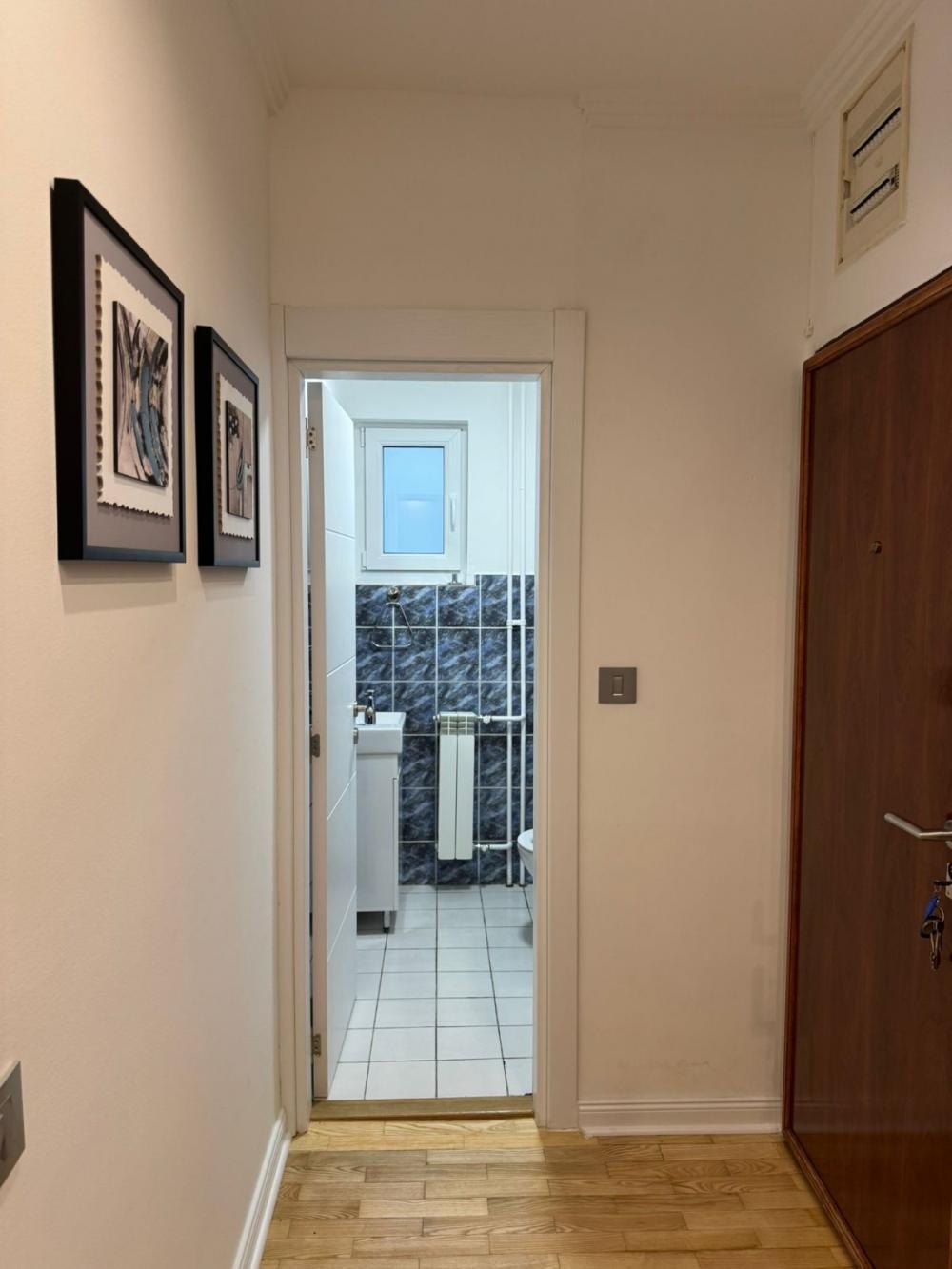 Slika 10 - Bulevar kneza Aleksandra Karađorđevića, Dvosoban stan za izdavanje, 120m2, 1.400€
