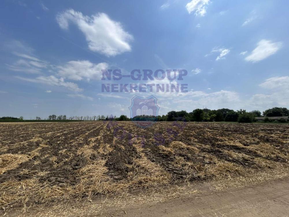 Slika 1 -  Plac na prodaju, Čenej, 200.000€