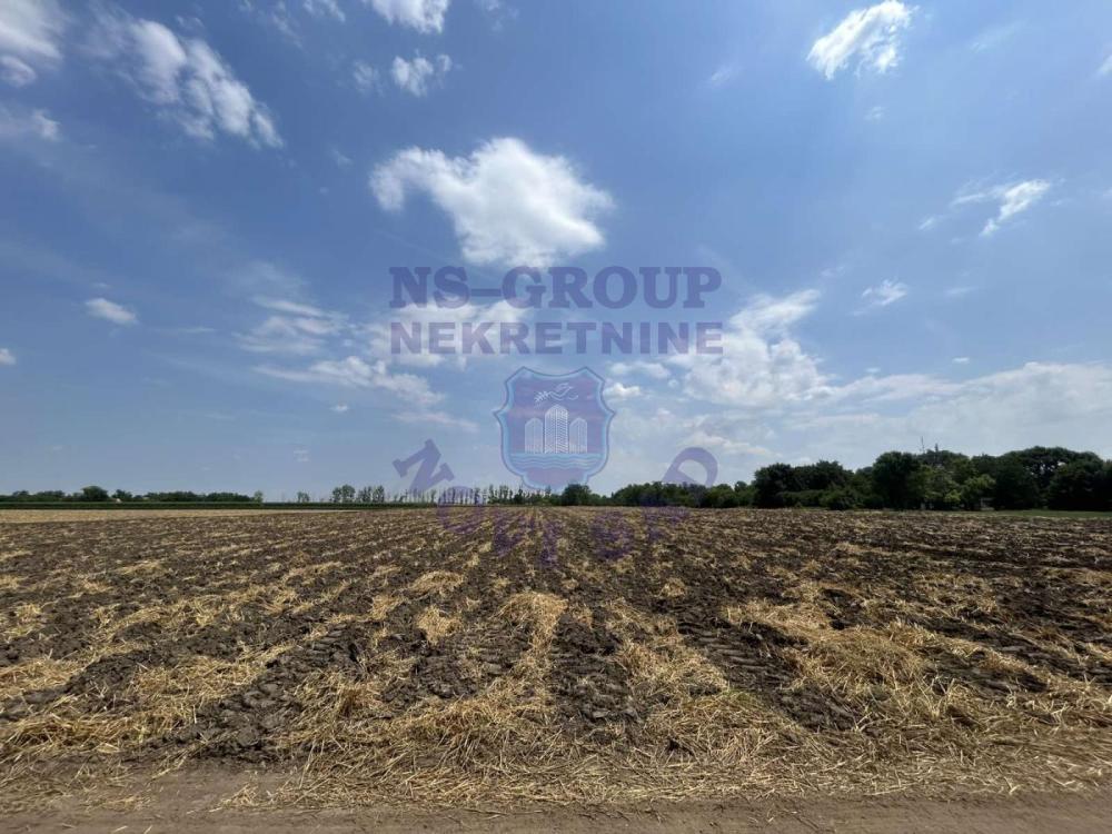 Slika 2 -  Plac na prodaju, Čenej, 200.000€