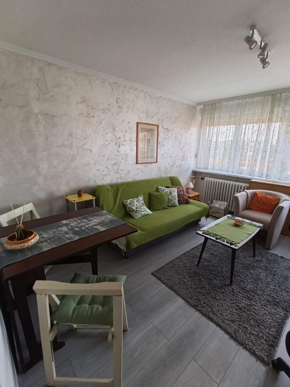 Slika 1 - Triše Kaclerovića, Jednosoban stan za izdavanje, 20m2, 330€