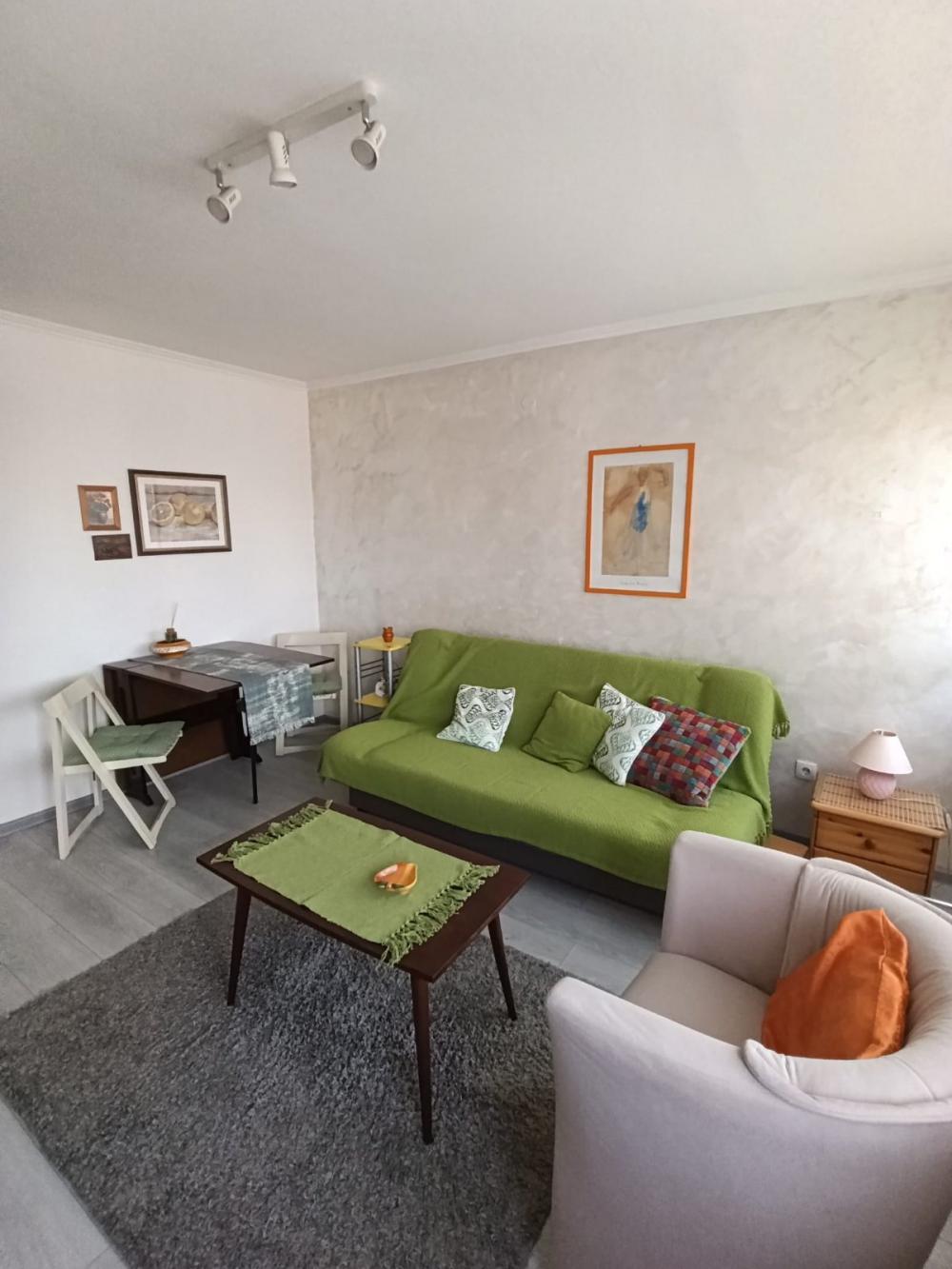 Glavna slika -Triše Kaclerovića, Jednosoban stan za izdavanje, 20m2, 330€