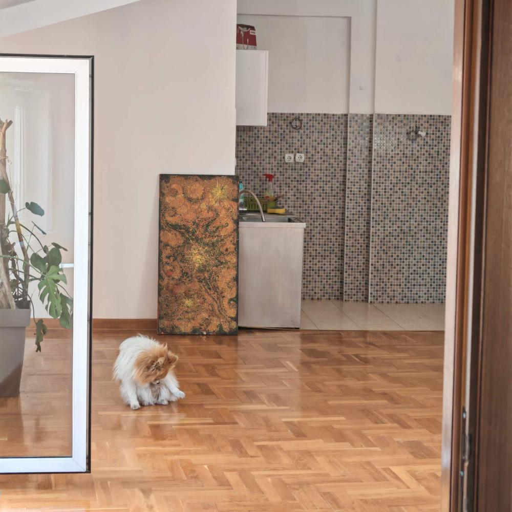 Slika 1 - Gospodska, Dvosoban stan za izdavanje, 75m2, 550€