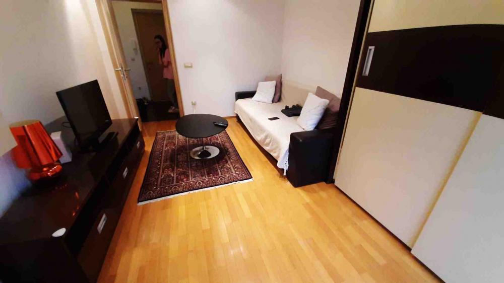 Slika 1 - Miloša Zečevića, Dvosoban stan za izdavanje, 52m2, 550€