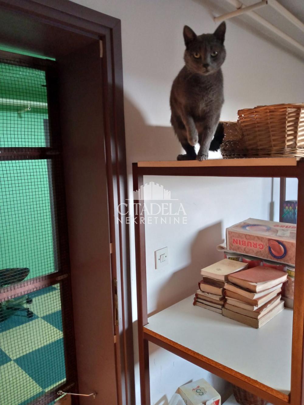 Slika 5 - Bratstva i jedinstva,  Kuća na prodaju, 399m2, 250.000€