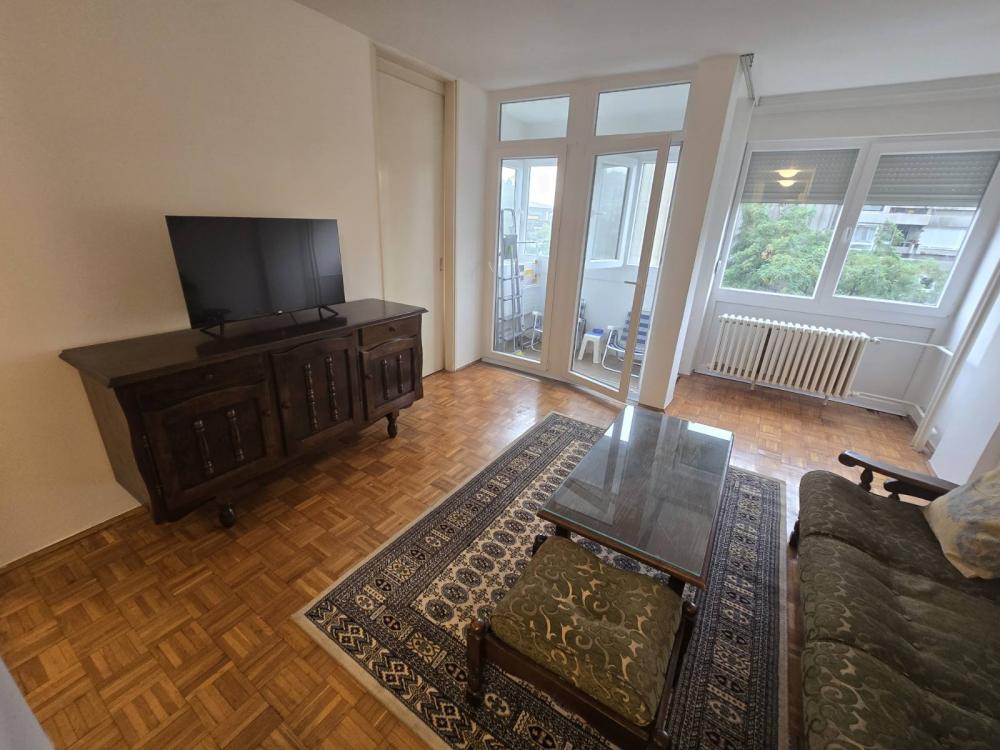 Slika 1 - Bulevar Milutina Milankovića, Jednoiposoban stan za izdavanje, 44m2, 480€