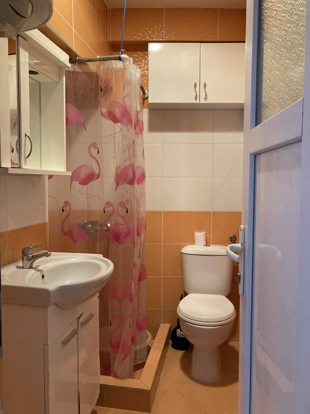 Slika 9 - Svetogorska, Jednoiposoban stan za izdavanje, 50m2, 450€