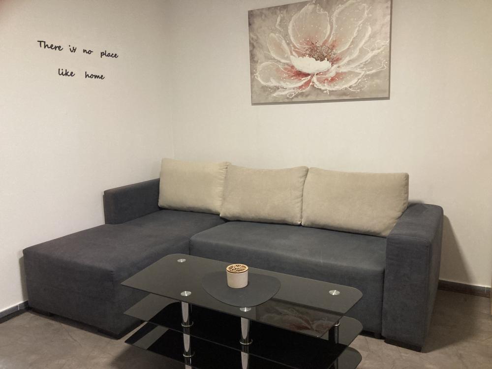 Slika 2 - Svetogorska, Jednoiposoban stan za izdavanje, 50m2, 450€