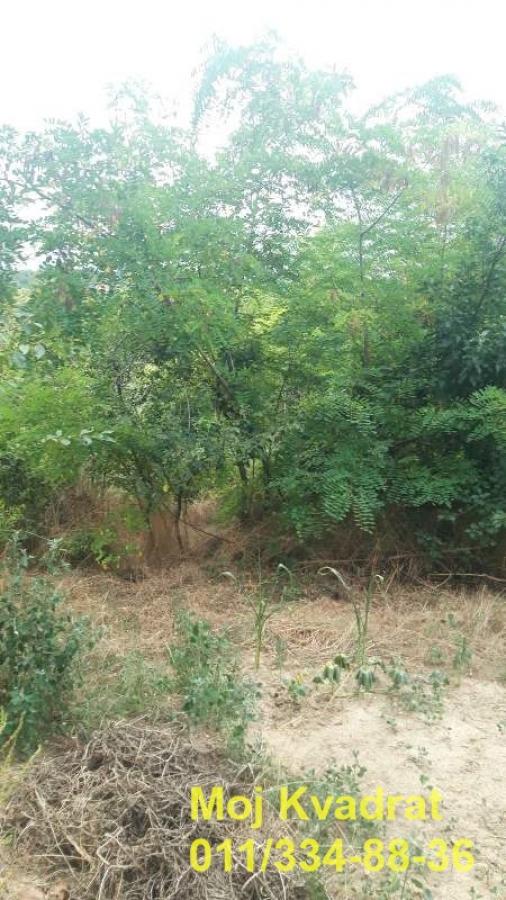 Slika 2 -  Plac na prodaju, Grocka, 39.000€