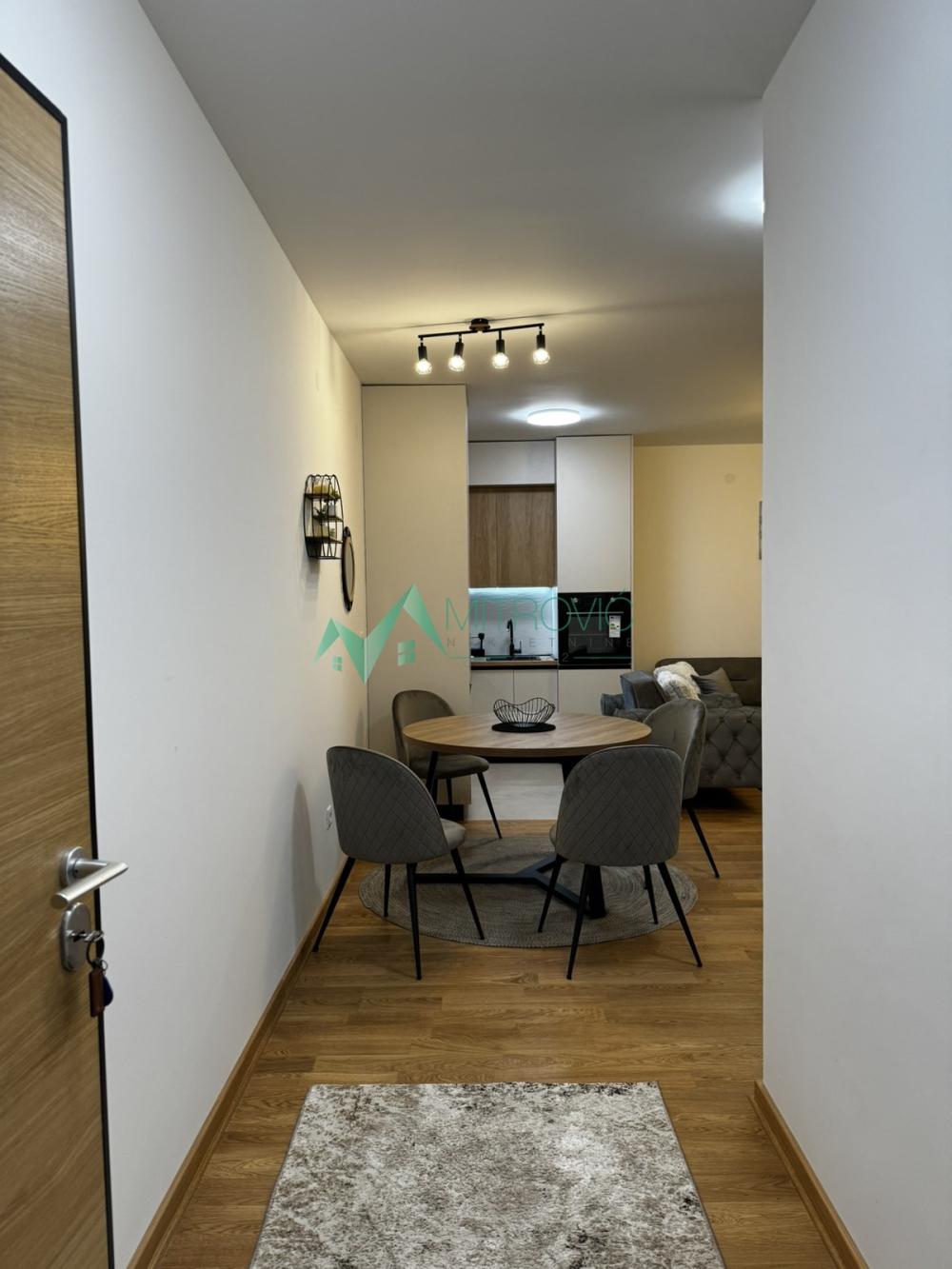 Slika 7 - Dvosoban stan za izdavanje, 50m2, 550€