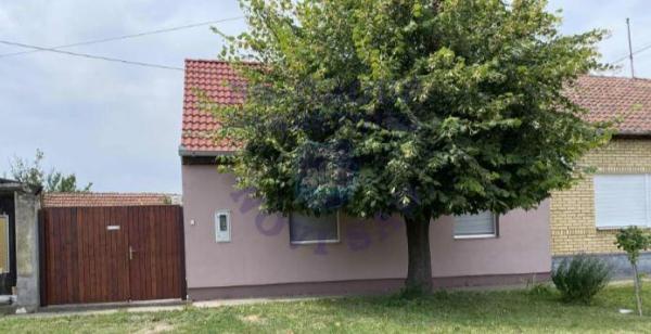 Glavna slika oglasa 408476
