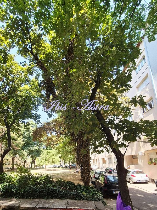 Slika 7 - Kopernikova, Dvoiposoban stan za izdavanje, 58m2, 700€