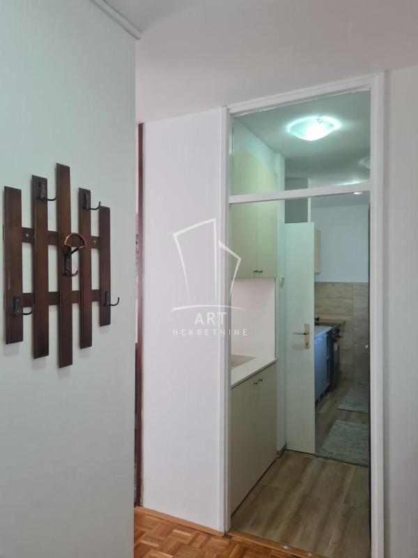 Slika 11 - Matice Srpske, Dvosoban stan za izdavanje, 50m2, 470€