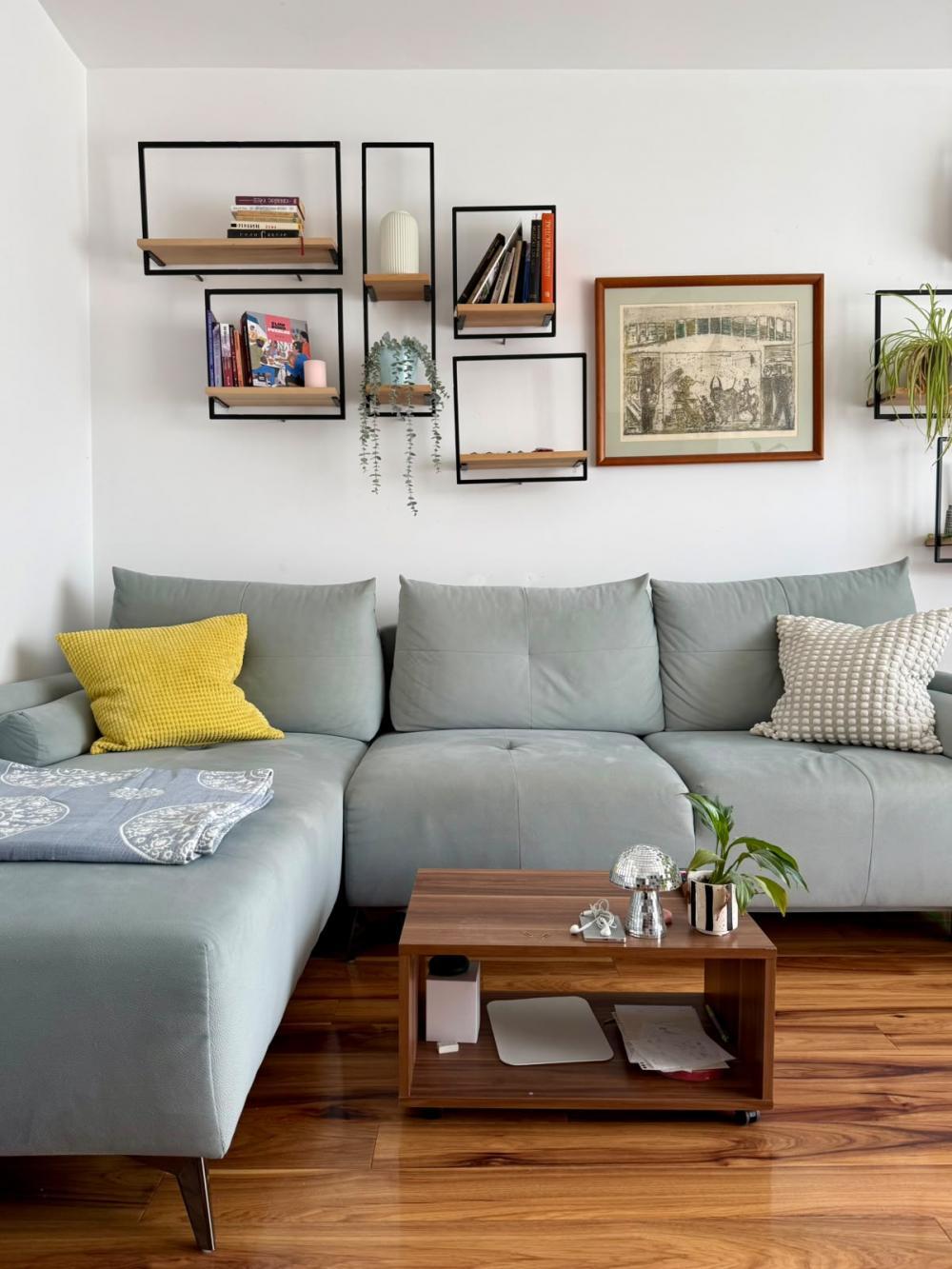 Glavna slika -Južni Bulevar, Dvosoban stan za izdavanje, 40m2, 650€