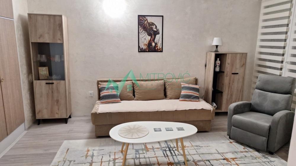 Glavna slika -Dvosoban stan za izdavanje, 43m2, 400€