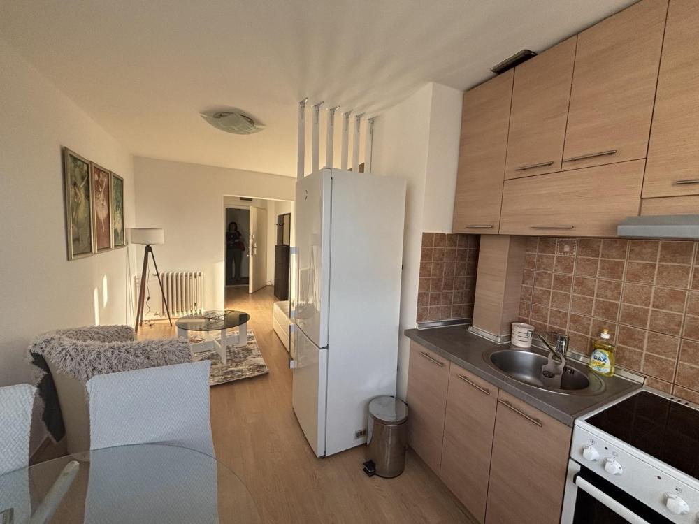 Slika 2 - Bulevar oslobođenja 9, Jednoiposoban stan za izdavanje, 40m2, 380€