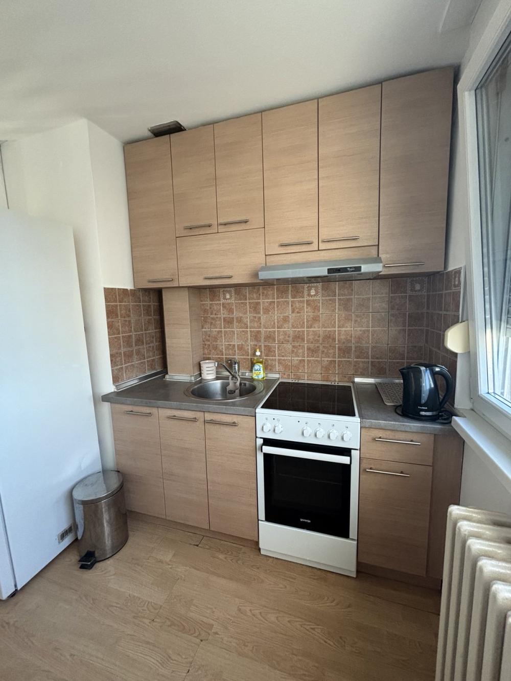 Slika 5 - Bulevar oslobođenja 9, Jednoiposoban stan za izdavanje, 40m2, 380€
