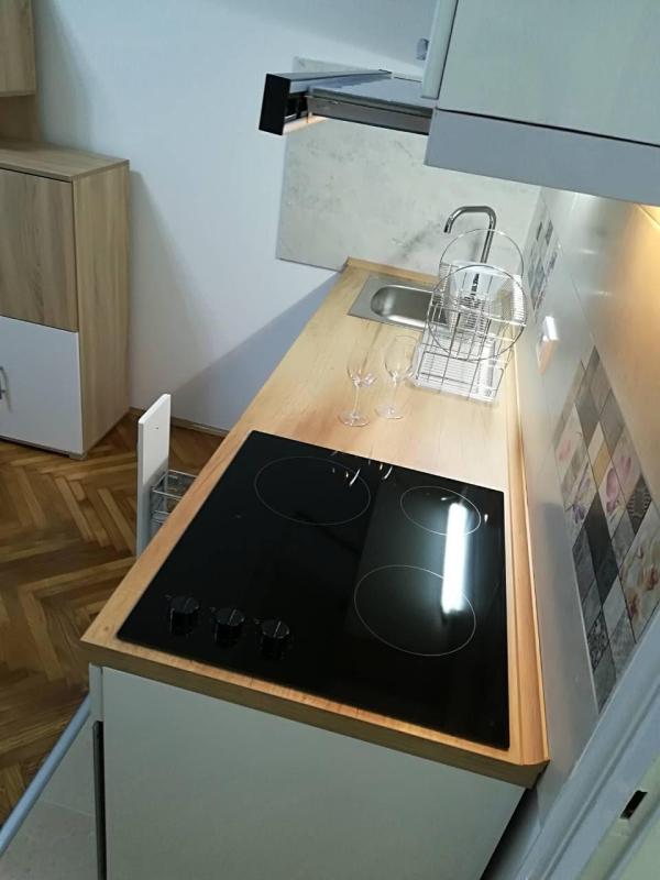 Slika 6 - Golsvordijeva,  Stan za izdavanje, 24m2, 500€