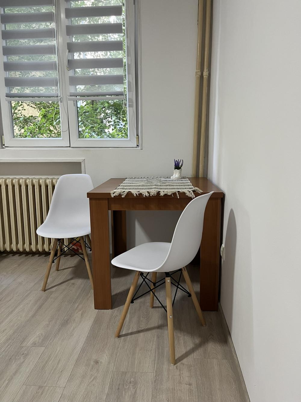 Slika 7 - Ruzveltova,Nikodima Miloša, Jednosoban stan za izdavanje, 28m2, 450€