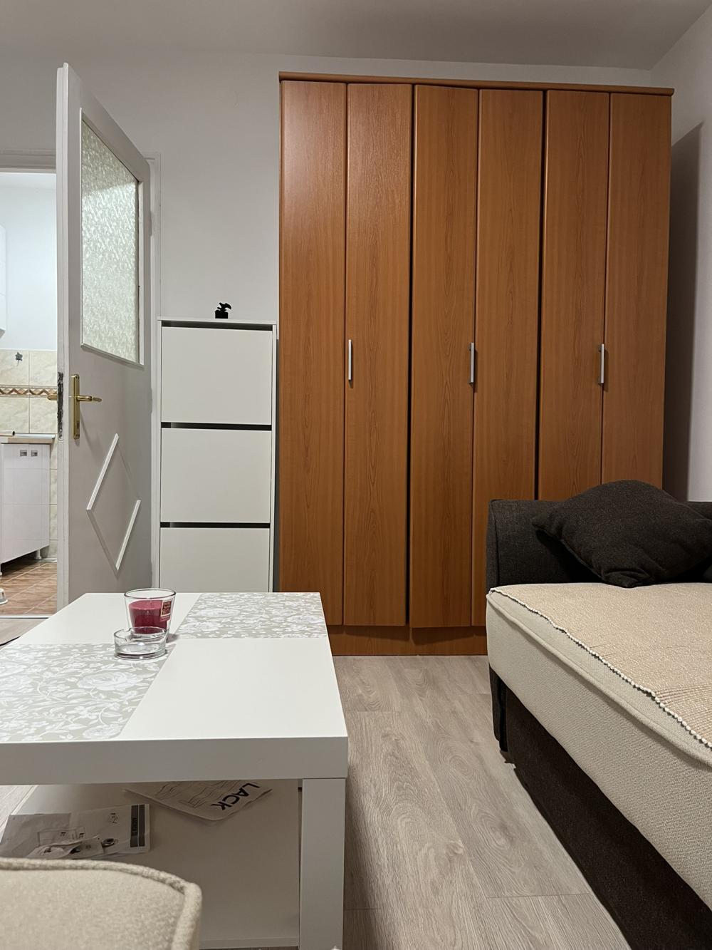Slika 10 - Ruzveltova,Nikodima Miloša, Jednosoban stan za izdavanje, 28m2, 450€