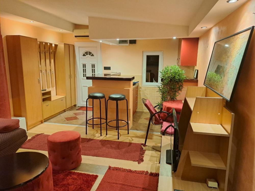 Slika 2 - Braće Ribnikar, Jednoiposoban stan za izdavanje, 35m2, 550€