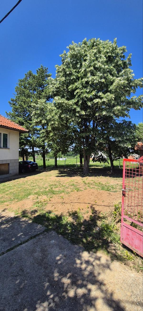 Slika 11 - Kosmajskih Partizana,  Kuća za izdavanje, 140m2, 149.999€