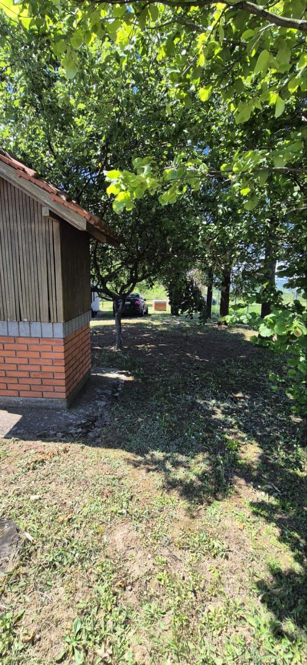 Slika 10 - Kosmajskih Partizana,  Kuća za izdavanje, 140m2, 149.999€
