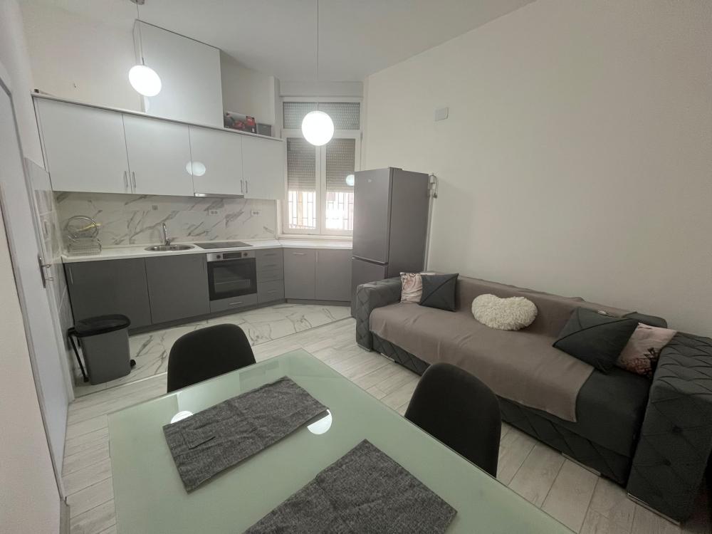 Slika 4 - Karađorđeva, Dvosoban stan za izdavanje, 45m2, 700€