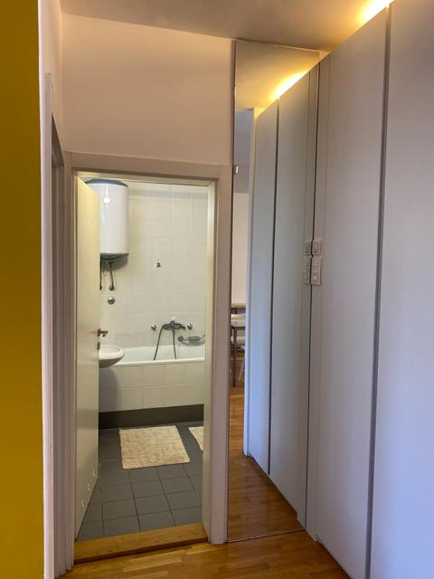 Slika 4 - Bulevar Zorana Đinđića, Dvosoban stan za izdavanje, 66m2, 750€
