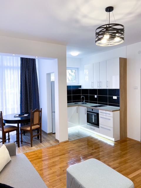 Slika 2 - Teodora Drajzera, Dvosoban stan za izdavanje, 46m2, 700€