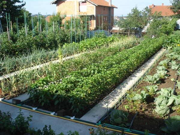 Slika 7 - Prve proleterske,  Kuća na prodaju, 400m2, 380.000€