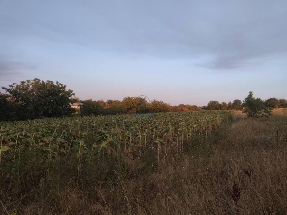 Slika 2 -  Plac na prodaju, Čukarica, Železnik, 260.000€