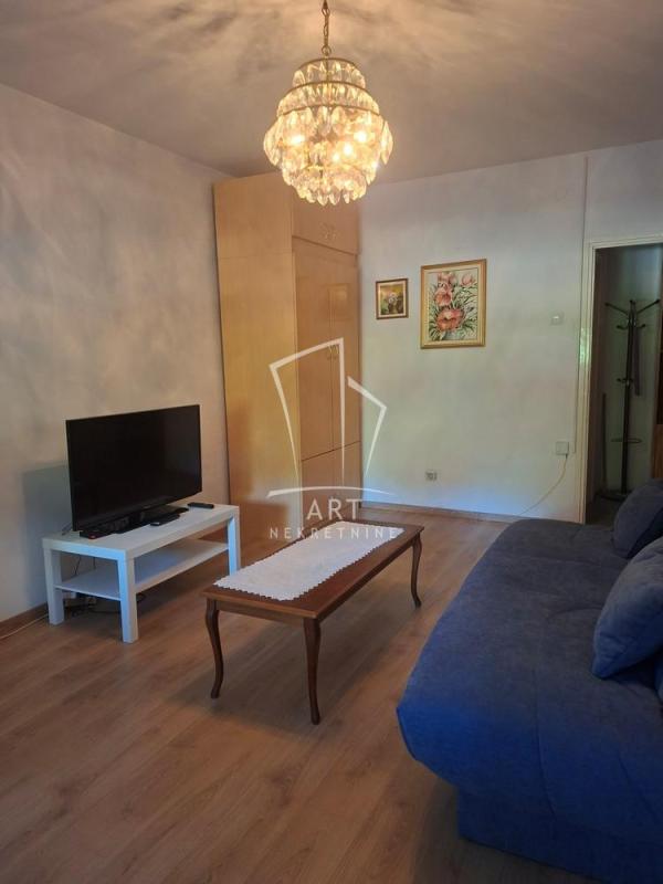 Slika 2 - Stanka Paunovića Veljka, Jednosoban stan za izdavanje, 36m2, 350€
