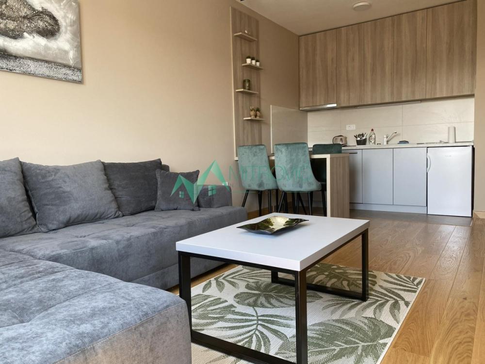 Glavna slika -Jednoiposoban stan za izdavanje, 39m2, 630€