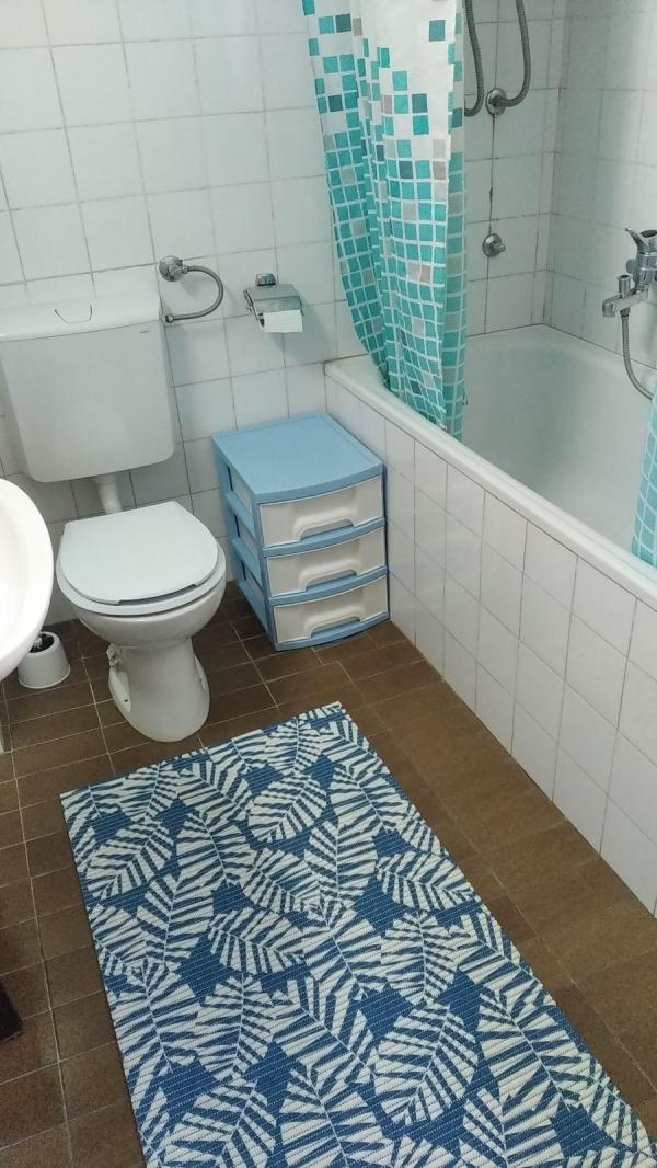 Slika 7 - Darvinova, Dvosoban stan za izdavanje, 54m2, 450€