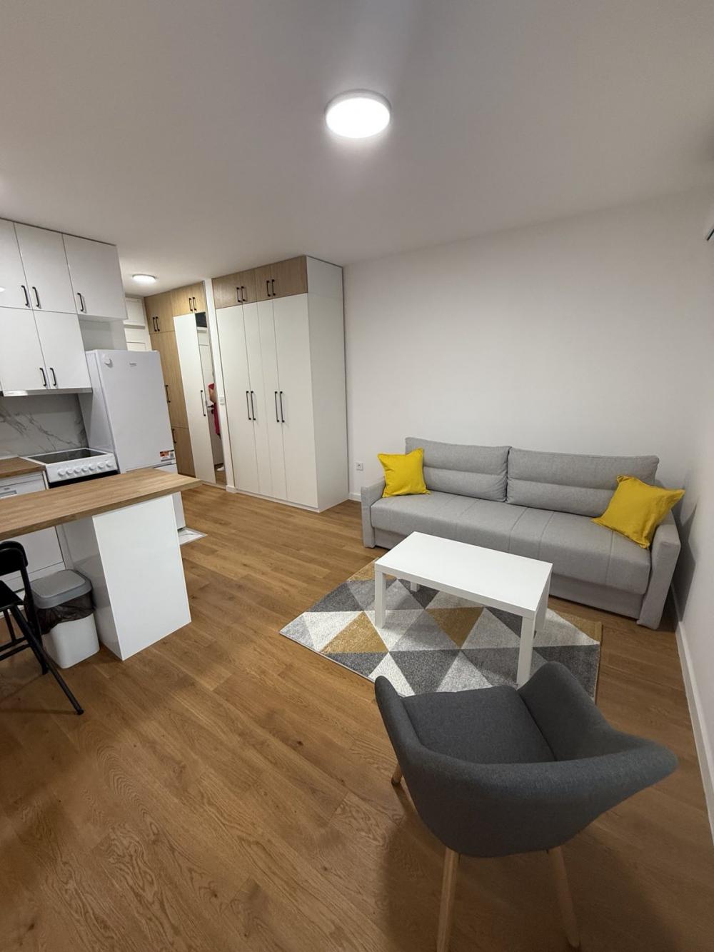 Slika 2 - Rada Neimara, Jednosoban stan za izdavanje, 30m2, 600€