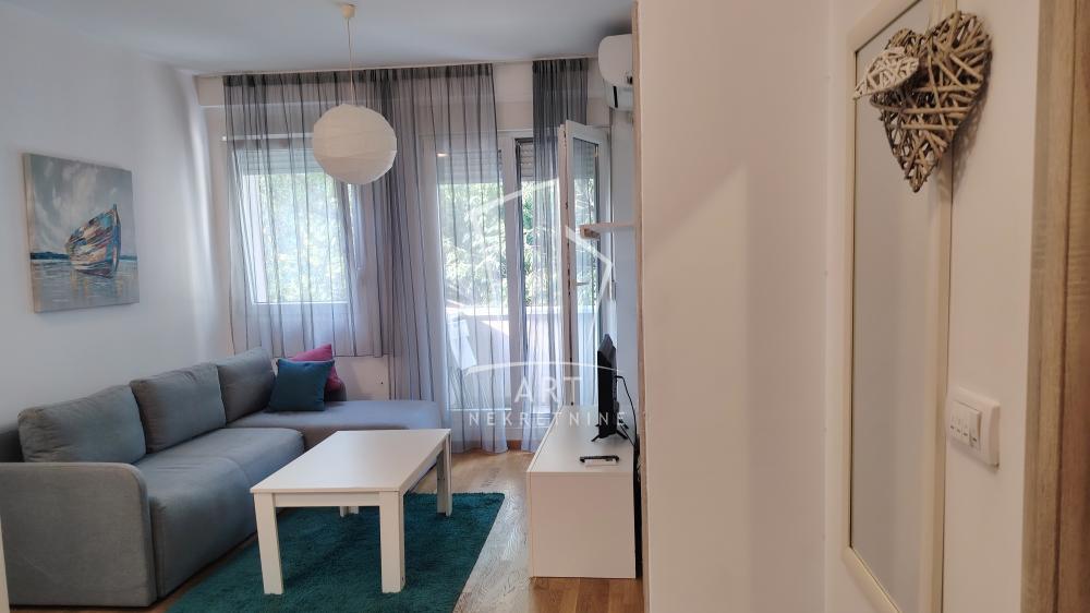 Glavna slika -Pašmanska, Dvosoban stan za izdavanje, 35m2, 600€